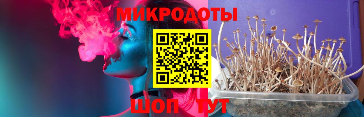 Галлюциногенные грибы мухоморы  Вход с VPN  Краснокамск 